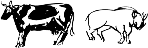 How to Find Water - Finding Water - Wilderness Survival - Mammals How to Find Water - Finding Water - Wilderness Survival - Mammals