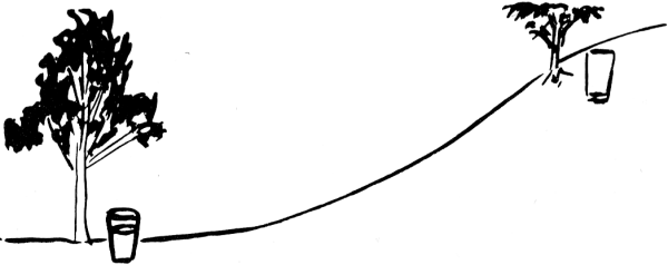 Where to Find Water - Wilderness Survival