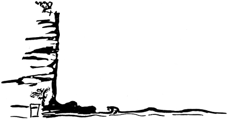 Finding Water Under Coastal Cliffs - Wilderness Survival