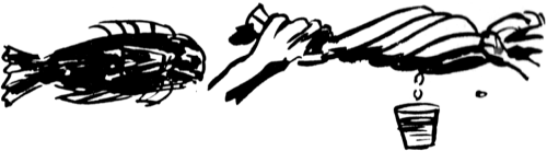 How to Find Water - Finding Water From Fish - Wilderness Survival