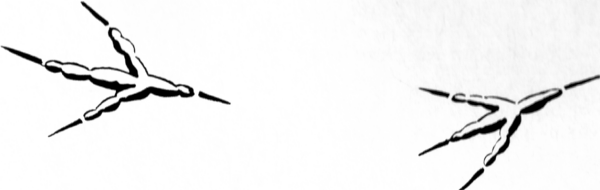 Tracks of a Ground Flesh Eating Bird - Tracking Animals — Learn How To Read Animal Tracks