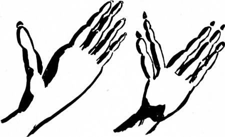 Tracks of a Climbing Animal - Tracking Animals — Learn How To Read Animal Tracks