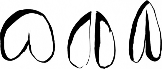 Tracks of a Herbivore - Tracking Animals — Learn How To Read Animal Tracks