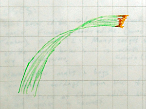 Lomandra longifolia Leaf Close-up from Kamana