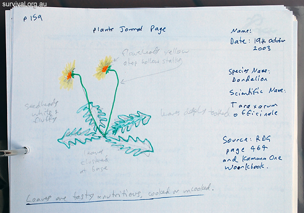 Bush Tucker Plant Quiz, Question 8 - Can you identify this plant?