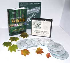 Kamana One by Jon Young, Wilderness Awareness School.