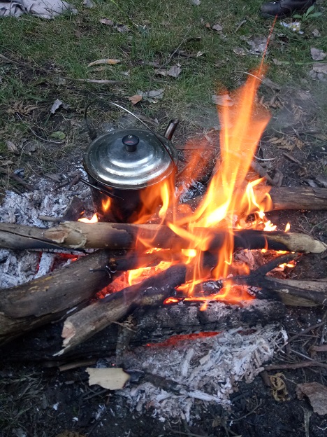 Monthly Rewilding Skillshares - Hosted by ReNourish ReWild and Wollemi Common