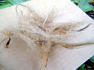 Bow Drill Fire Kit - Tinder Bundle