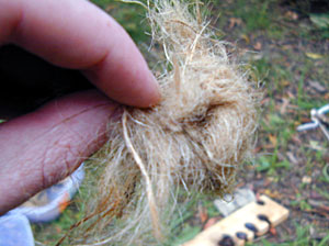 Bow Drill Fire Kit - Coal in Tinder Bundle