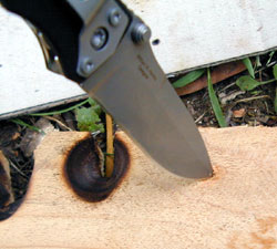 Bow Drill Fire Kit - New Hole in Fireboard