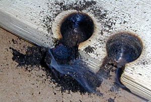 Hand Drill Fire Kit - Coal