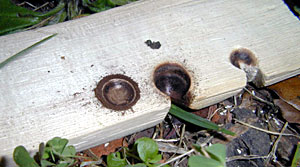 Hand Drill Fire Kit - New Hole Burned In