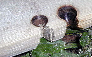 Hand Drill Fire Kit - Notch in Fireboard