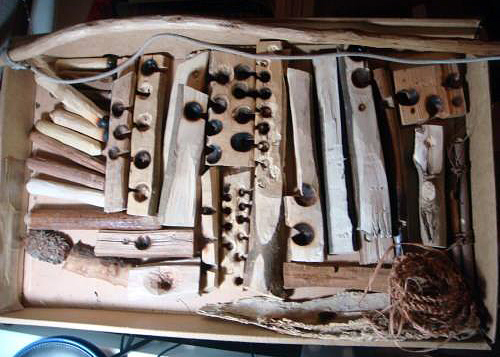 Monthly Rewilding Skillshares - Hosted by ReNourish ReWild and Wollemi Common