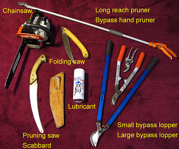 The Basic Gardening Tools