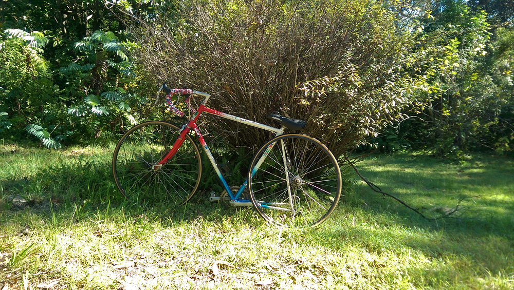 Finding a Secret Spot - Repco Victory Tri-A $20 Garage Sale Bike