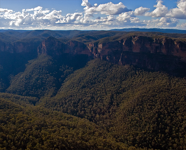 Survival: The Wilderness - How To Survive In The Wilderness