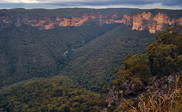 Wilderness Survival, Self Sufficiency and Sustainable Living