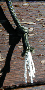 Springpole Deadfall Trap - 550 Paracord