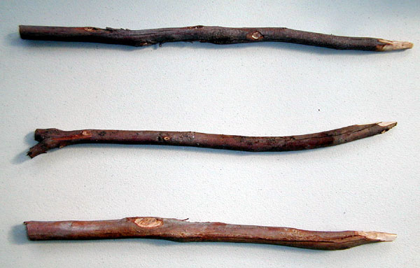 Springpole Deadfall Trap - Stakes