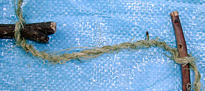 Paiute Deadfall Trap - Cordage