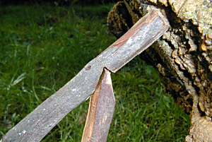 Paiute Trap - Closeup