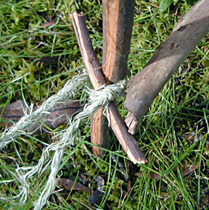 Paiute Trap - Trigger