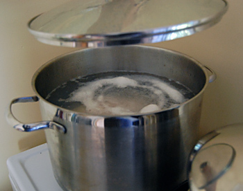 Make Your Own Meat Stock and Bone Broth - Pot