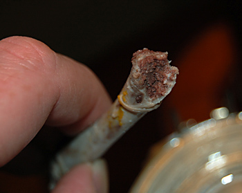 How to Make Your Own Meat Stock and Bone Broth - Bone Marrow