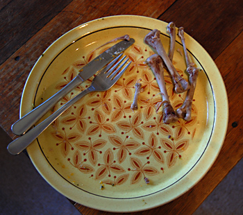 Meat Stock and Bone Broth - Bones