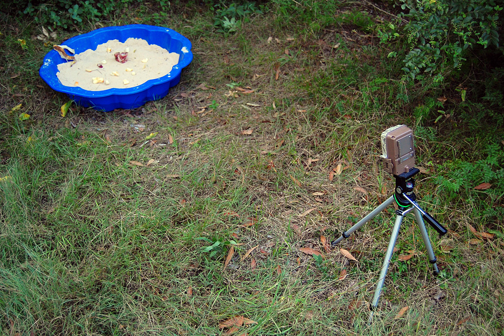 Second setup of the tracking box  as shown above on this page (including fruit and meat this time), showing the trail camera - Make an Instant Tracking Box to Learn Animal Tracking - Survival.org.au